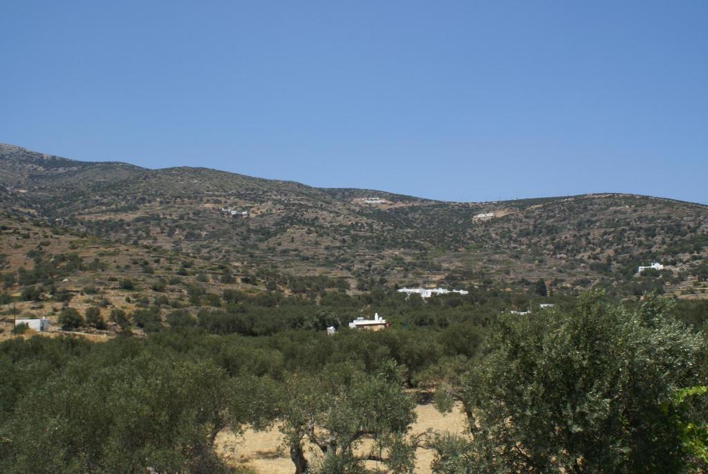 Villa Antoniadis Platis Gialos  المظهر الخارجي الصورة